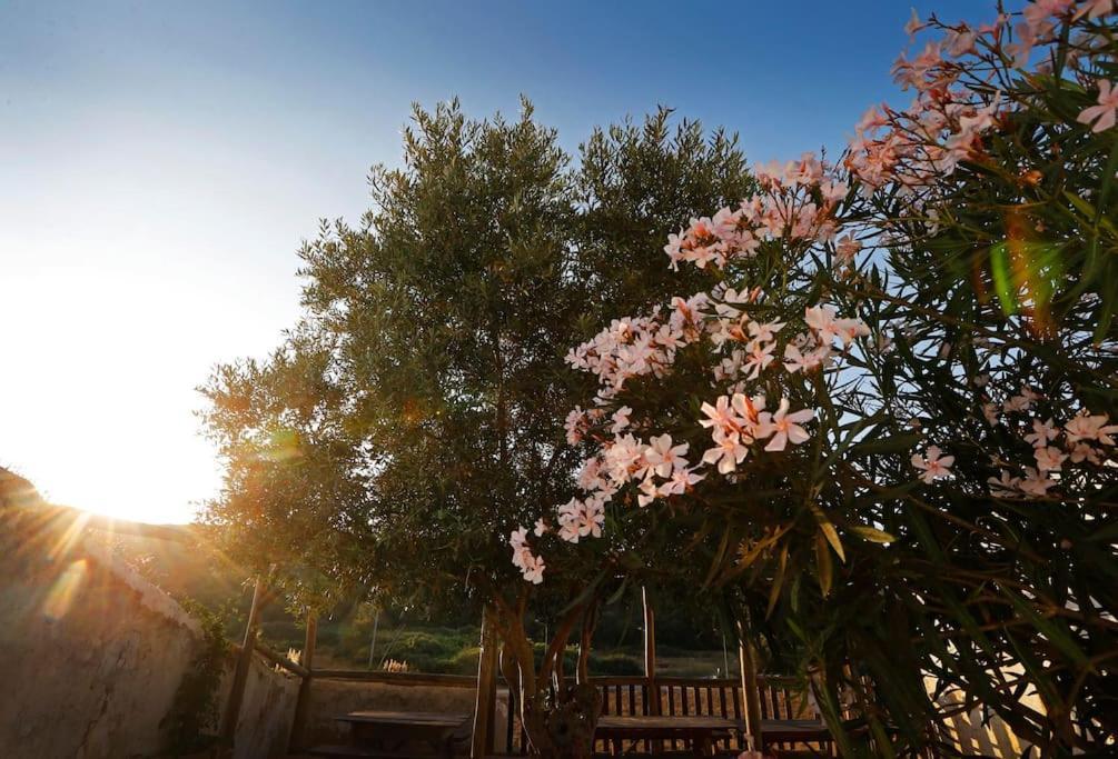 Willa Casa Amado, Aldeia Da Pedralva Vila do Bispo Zewnętrze zdjęcie