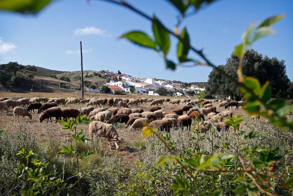 Willa Casa Amado, Aldeia Da Pedralva Vila do Bispo Zewnętrze zdjęcie